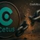 cetus sui hack